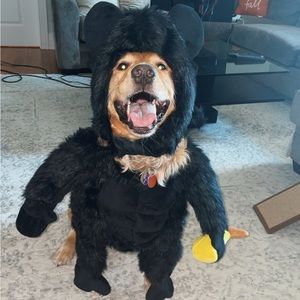 Gorilla dog costume